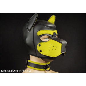 Mr S Leather NEO Puppy Collar | Black with Yellow Piping