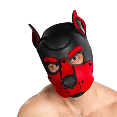 Mr S Leather Neoprene K9 Puppy Hood | Black/Red