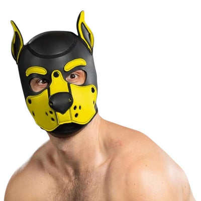 Mr S Leather Neoprene K9 Puppy Hood | Black/Yellow