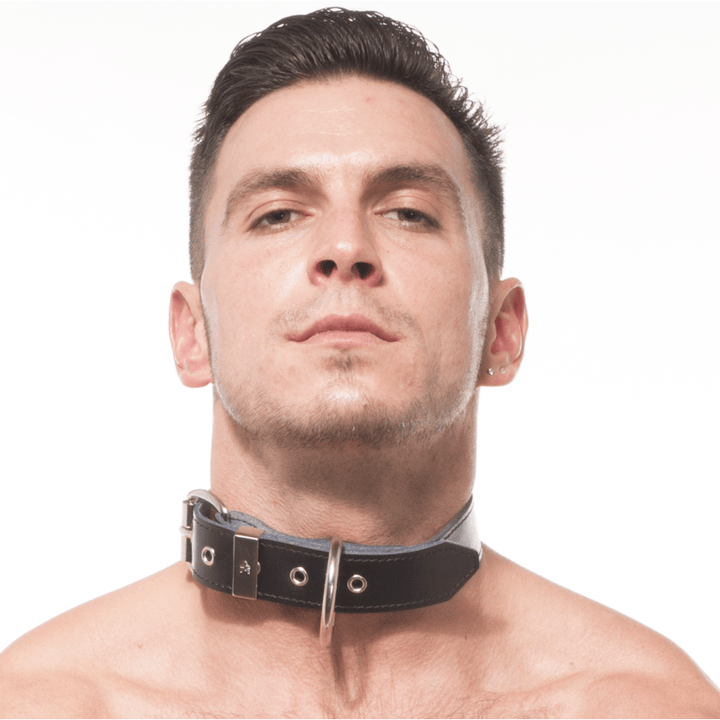 Titus Plain Leather Collar with Ring – UberKinky
